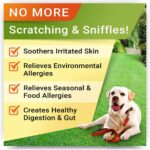 Allergy Relief Dog Treats w/Omega 3 + Pumpkin + Enzymes + Turmeric - Image 2