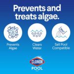 Clorox Pool&Spa 43128CLX 42128CLX Pool Algaecide - Image 3