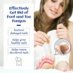 HIQILI Tea Tree Essential Oil (100 ML),100% Pure Organic - Image 2