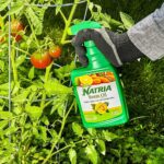 Natria 706250A Neem Oil Spray for Plants Pest Organic Disease Control - Image 2