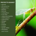 Natria 706250A Neem Oil Spray for Plants Pest Organic Disease Control - Image 3